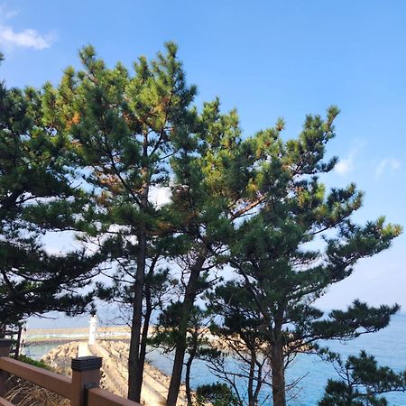 Bada Village Minbak Jeju Exteriör bild