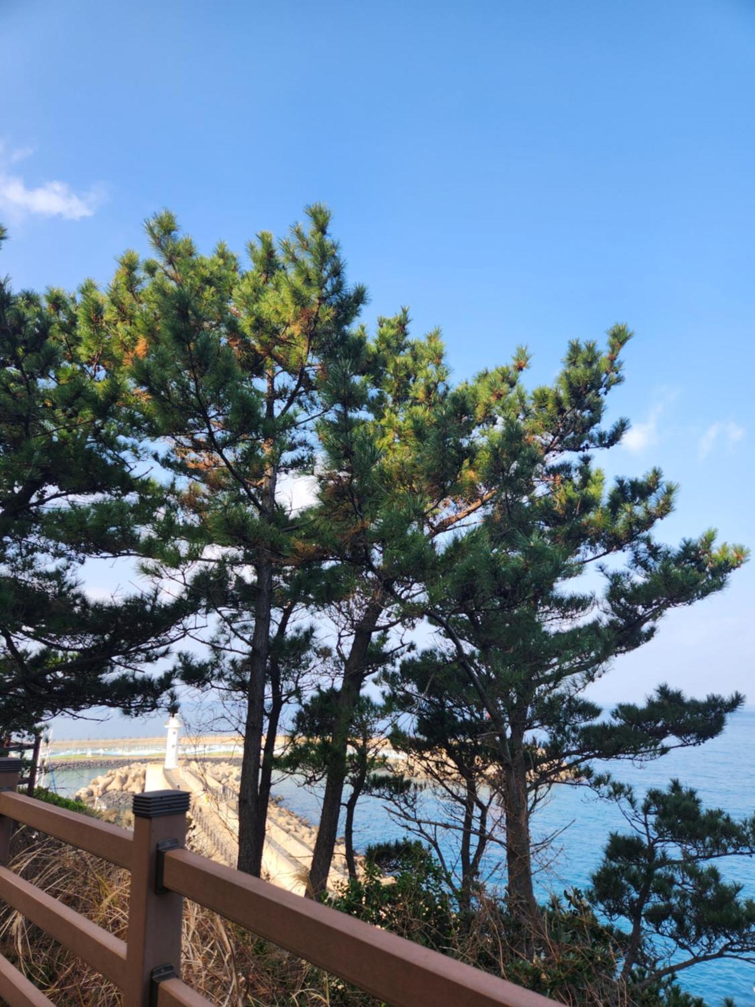 Bada Village Minbak Jeju Exteriör bild